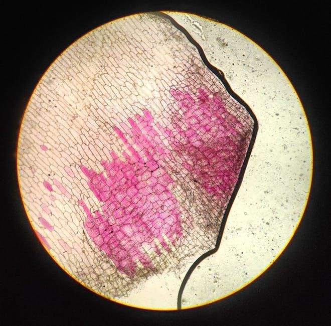 blank plant cell diagram to label pdf